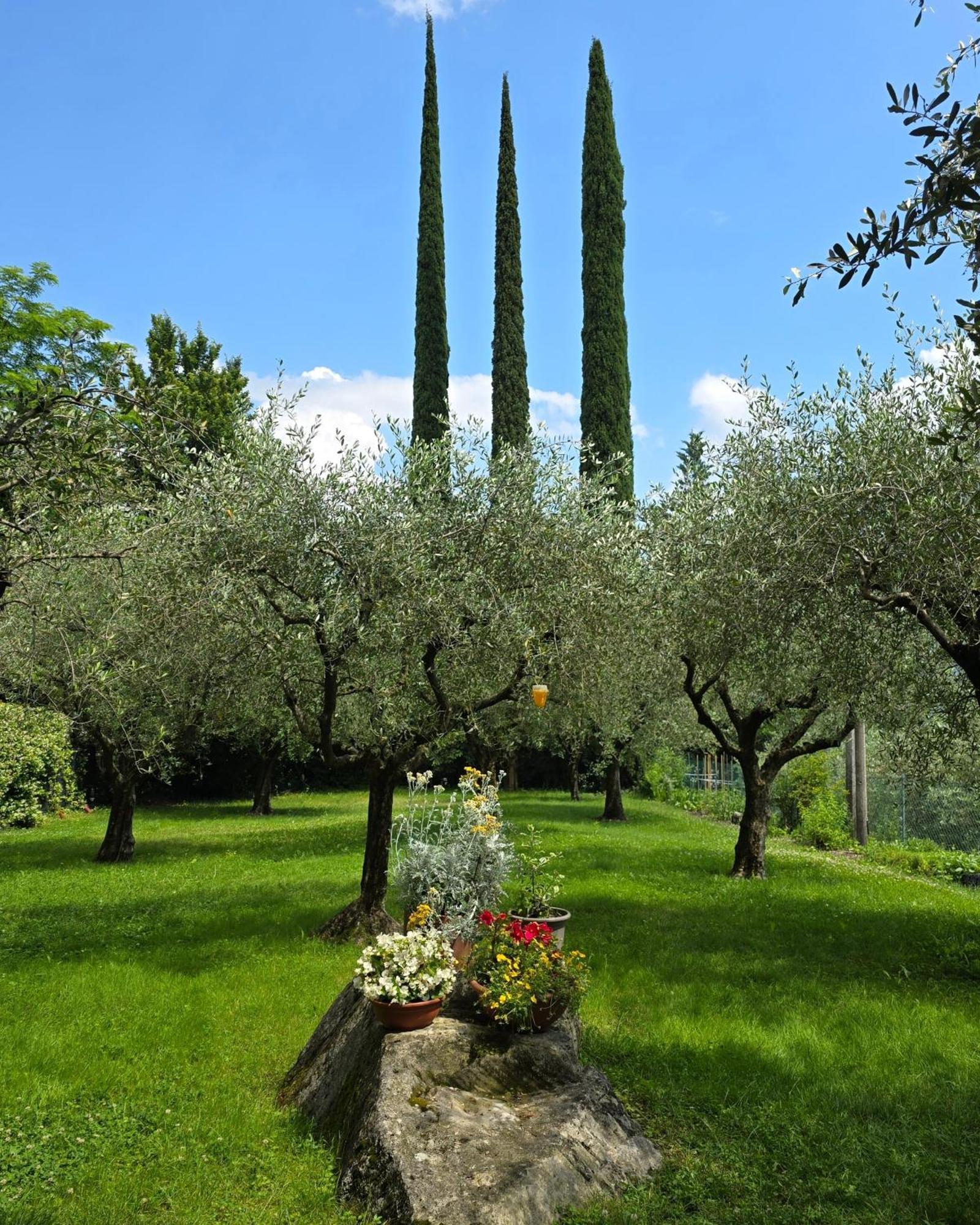 La Berlera - * Riva del Garda