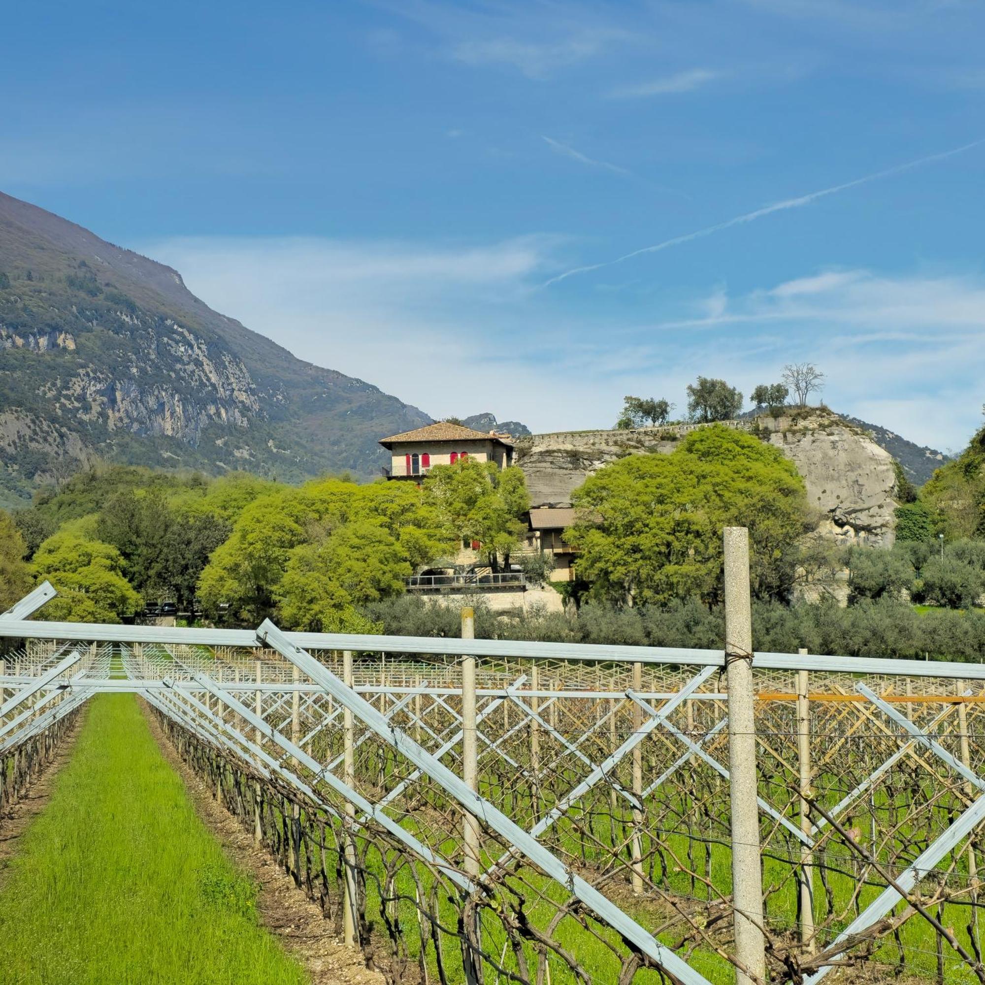 La Berlera -